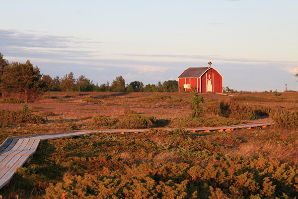 kuva: Seppo Kemppainen